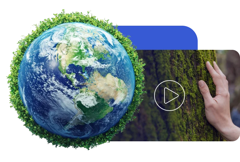 programas de wellbeing para empresas