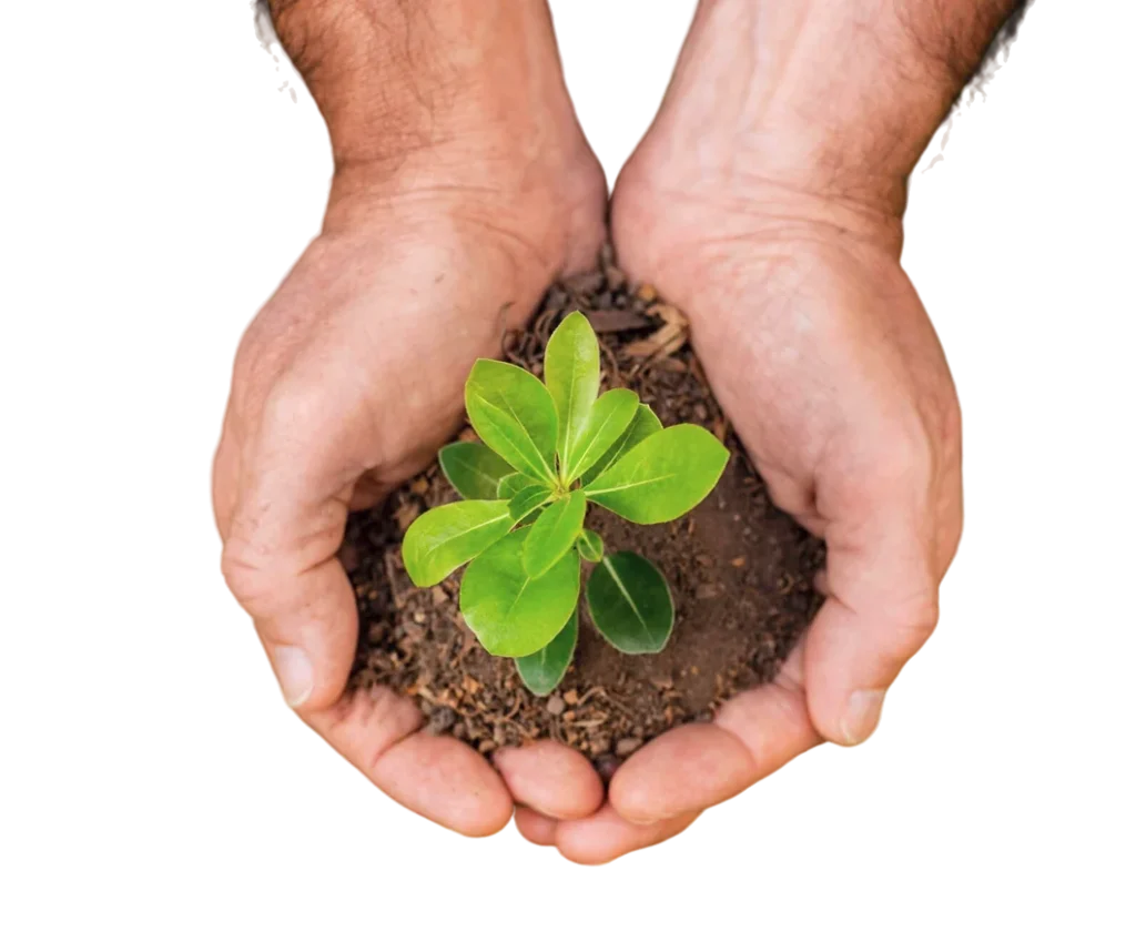 programas de wellbeing para empresas